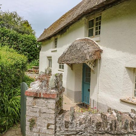 Elworthy Cottage Солкомб Экстерьер фото